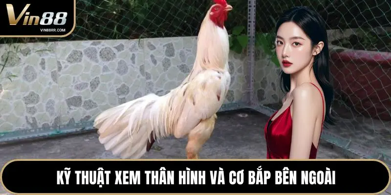 Kỹ thuật xem thân hình và cơ bắp bên ngoài